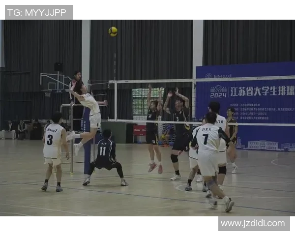 南京排球队的训练与比赛状态全景揭秘助力排球事业新高峰